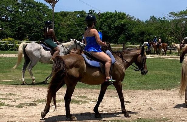 Horseback Ride, Zipline and ATV Adventure from Montego Bay