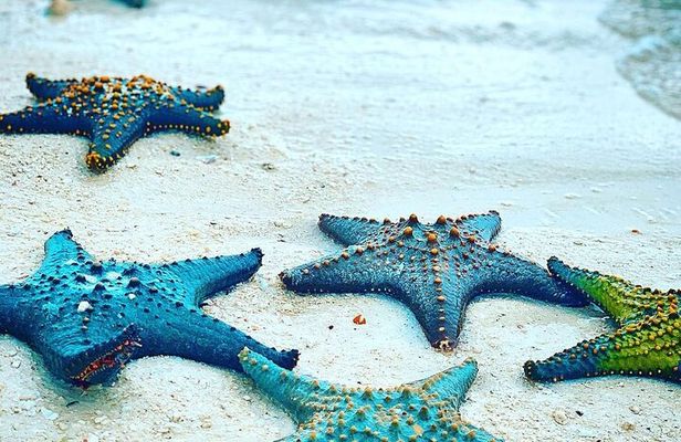 Starfish Adventure; Blue Lagoon; The Rock; Kuza Cave, Salaam Cave