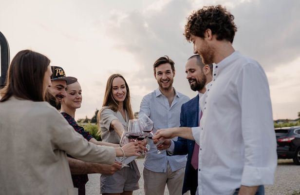 Guided Visit and Wine Tasting at the Winery in Veneto