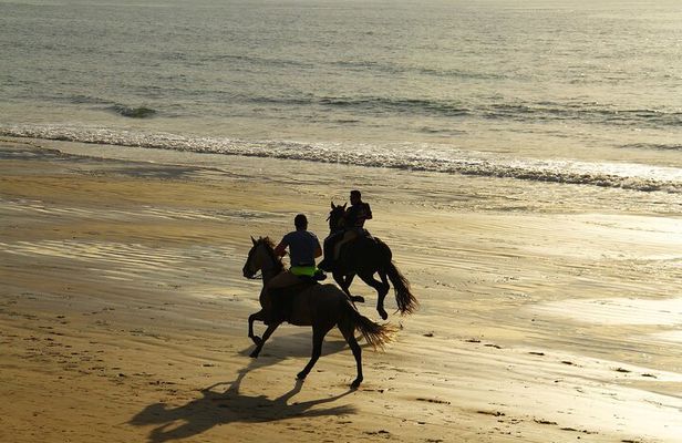 Horse Ride in Taghazout or Agadir
