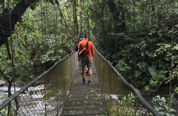 Zip line Canopy half day adventure tour near San Jose Costa rica in San Ramon