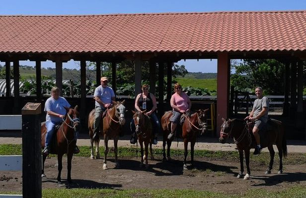 Full day with canopy horse back riding and cultural Arenal visit from San Jose