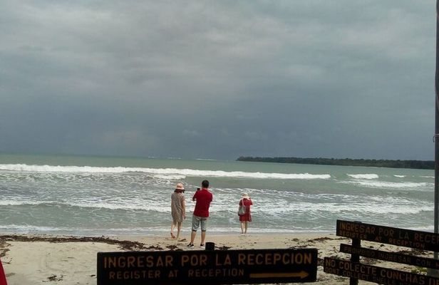Half-Day Wildlife Hiking Tour of Cahuita National Park