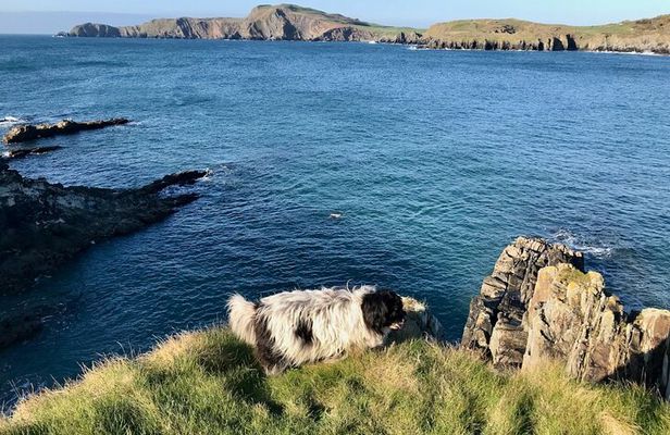 Placenames & Their Amazing Stories: with a West Cork Picnic