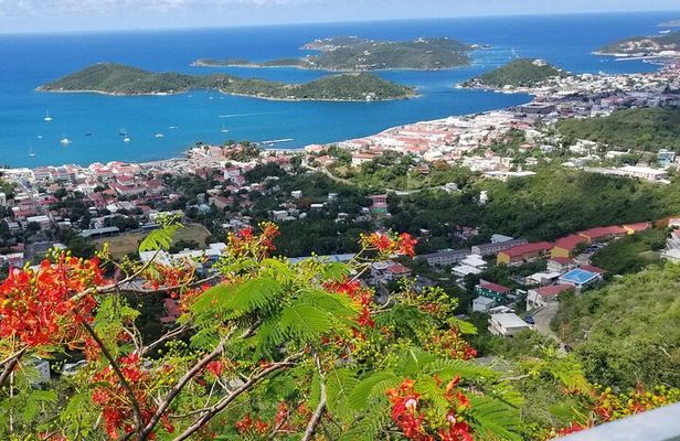 Skyline Drive Lookout and Beach Hopping