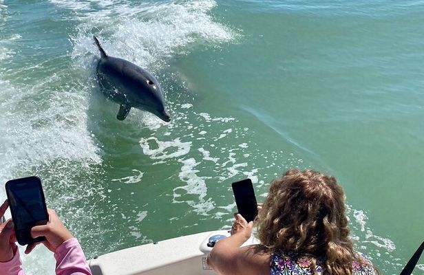 Private Shelling and Dolphin Excursion