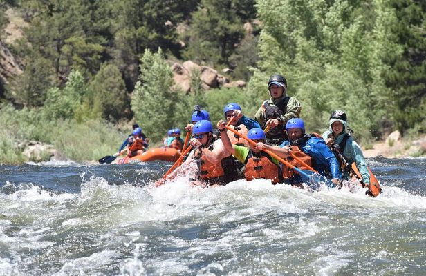 Royal Gorge Half-Day Rafting Trip