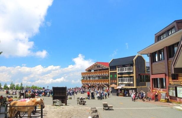 Seasonal Mt. Fuji Scenic Views, Fruit Picking and Ropeway Ride!