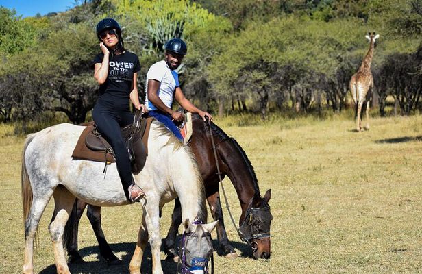 2-Hour Horseback Safari in Hartbeespoort