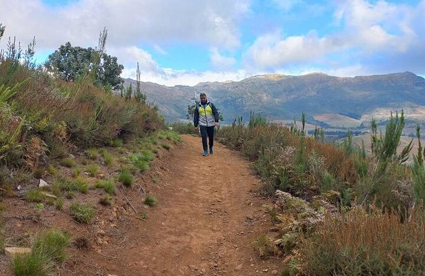 Stellenbosch Hike & Wine Tasting