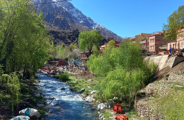 Ourika Valley and Atlas Mountains Day Trip