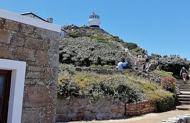 Full Day Cape Peninsula, Cape Point Tour