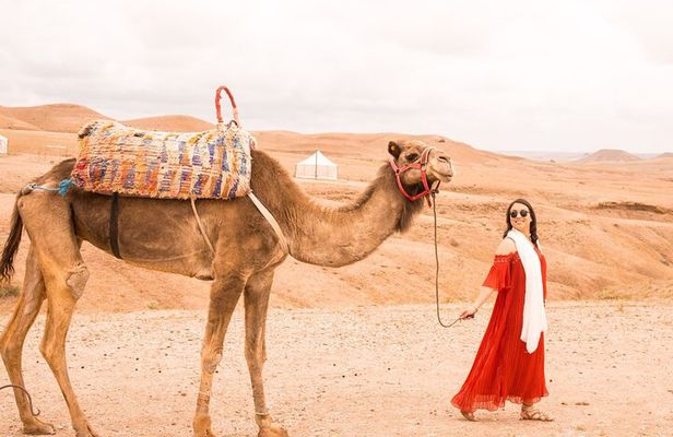 Private Full-Day Tour of Agafay Desert and Atlas Mountains