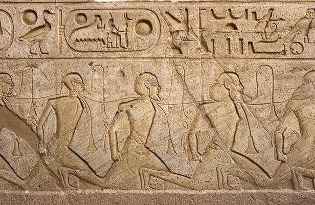 Valley of the Nobles, Habu Temple, and Ramesseum Tour