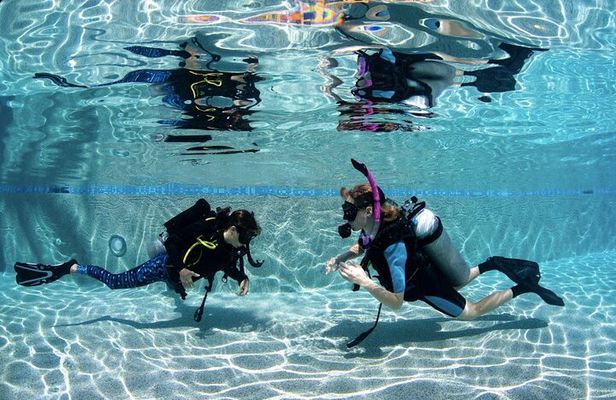 PADI Open Water Course in Cabo San Lucas