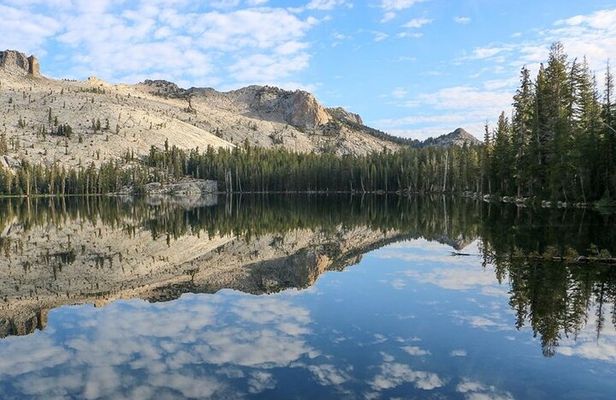 Yosemite and Kings Canyon National Park 2 Day Tour from LA