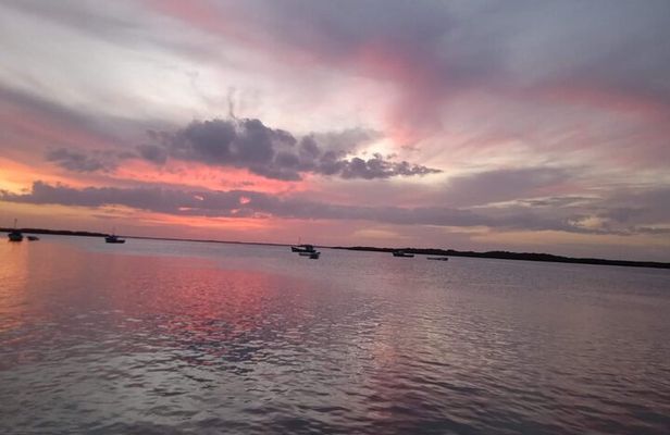 Full Day Tour Río Lagartos with Pickup from Mérida 7 AM