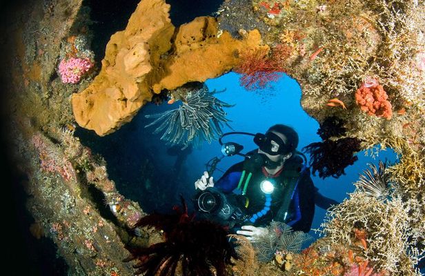 Day Trip for certified divers - 2 or 3 Dives in Tulamben (pick up in South Bali)