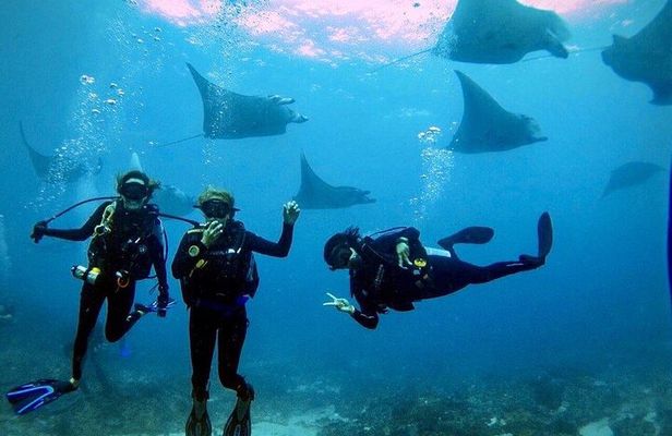 PADI Open water Course in Lembongan - Get certified & dive anywhere in the world
