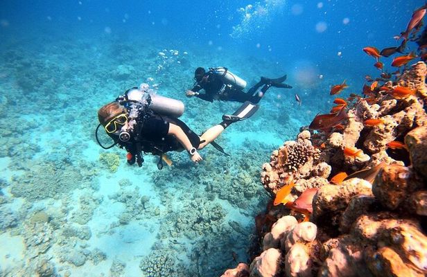 2-Hour Private Scuba Experience in Aqaba