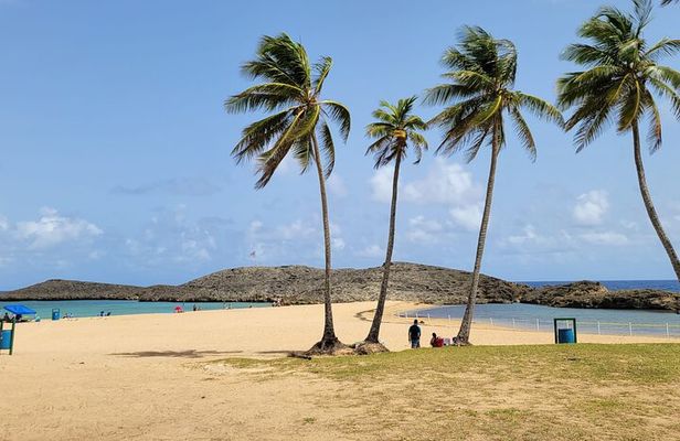 Beach and Ojo de Agua Experience!