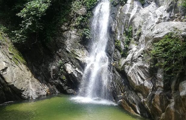 Passion Fruit and El Saltillo Waterfall Tour
