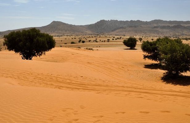 Jeep 4x4 Safari Atlantic Ocean & Desert Dunes with Berber Lunch 