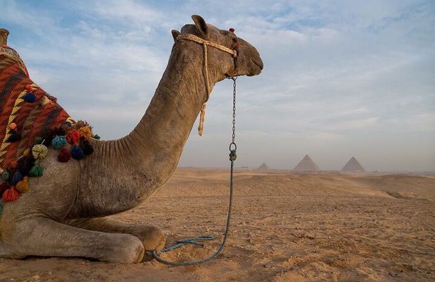 Private Half Day Tours To Giza Pyramids And Sphinx