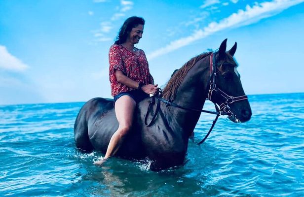 3-hour Horseback Ride Mountain and Beach Morocco
