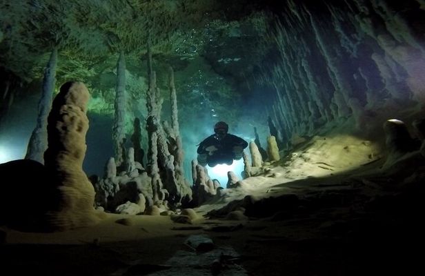 Private Full-Day Cenote Diving Experience 2 Dives with Lunch