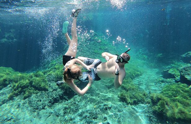 Cenotes by Bike and Mayan Cooking Class Half-Day Guided Tour