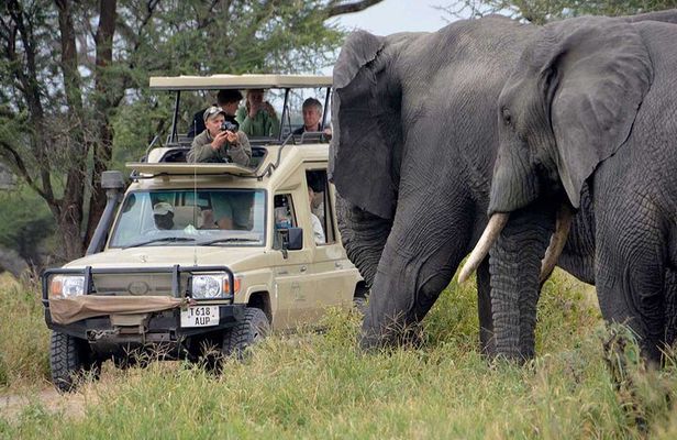 An Exclusive Tarangire Safari 