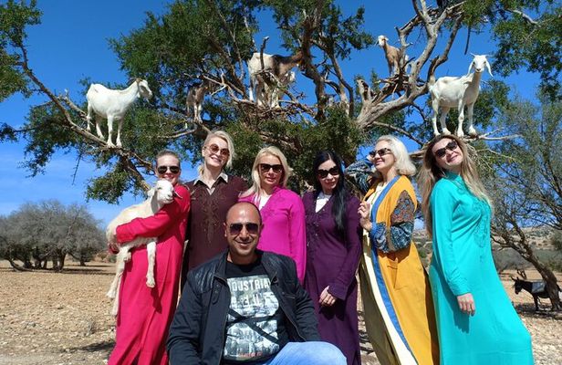 Your Own Morocco Essaouira Walking Tour