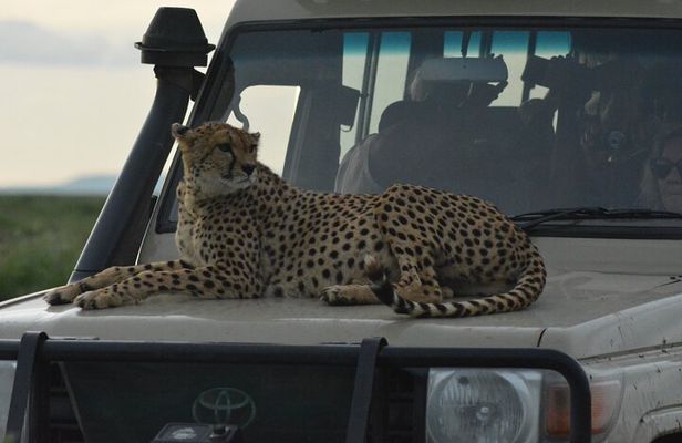 4-Day Small-Group Tour of Tanzania