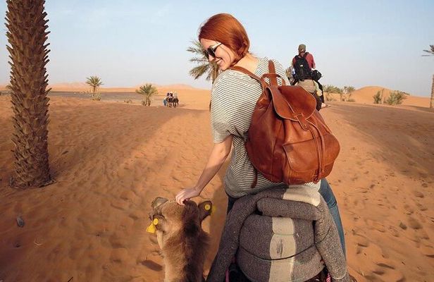 2-Day Zagora Desert Tour from Marrakech