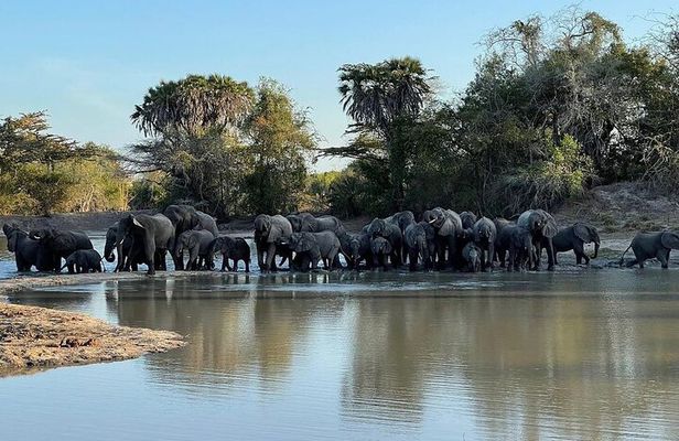 Saadani National Park Day Tour