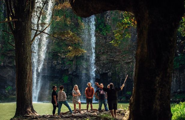 Your Kiwi Cultural Connection with Tu Tika Tours