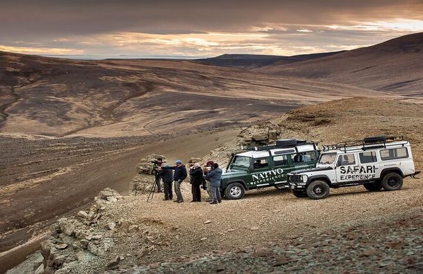 Immersive 4x4 Patagonia Safari: Dicover Flora Heritage & Wildlife