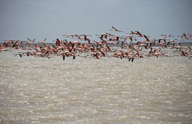 7 Days 6 Nights Alta Guajira Photographic Route Tour with Pick up