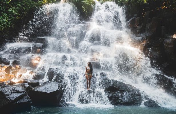 3 Days for the best of Ubud Private Tour