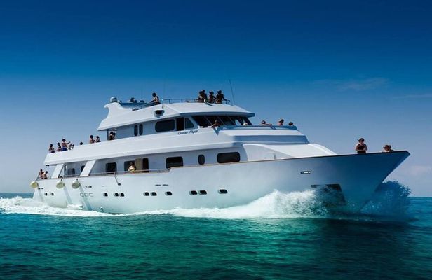 Ocean Flyer | VIP Cruise (Adults Only 18+)