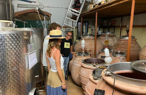 Authentic Elba Wine Tasting with Vineyard Walk & Sea Views