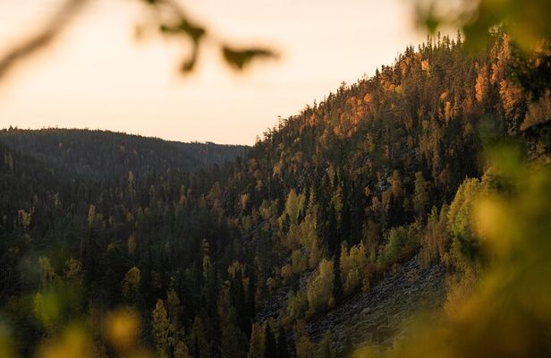 Korouoma canyon national park & frozen waterfalls with BBQ