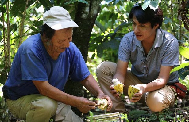 2 Days/1 Night Tour: Be immersed in a cocoa farm in the jungle of Cusco