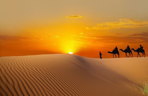 Dubai Evening Desert Safari with BBQ Dinner