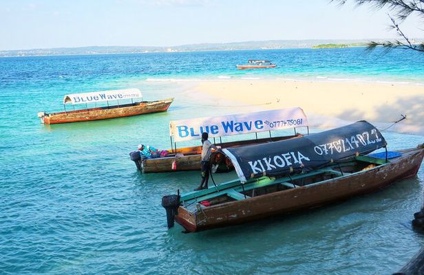 Prison Island Nakupenda and Stone Town Tour with Seafood Lunch
