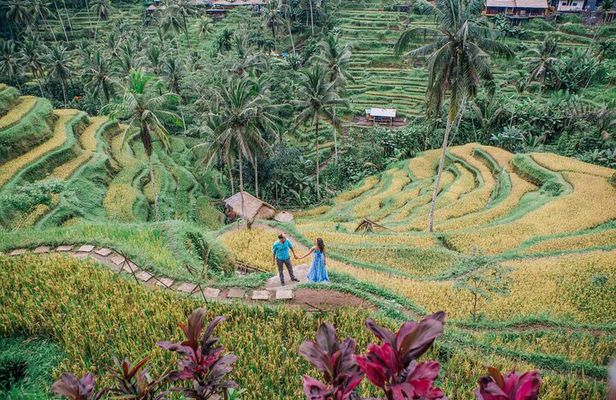 Best of Ubud’s Highlights Full-Day Tour