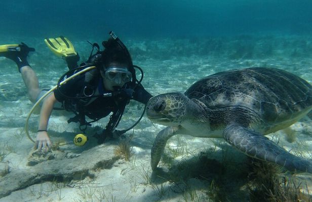 SCUBA DIVING first time experience
