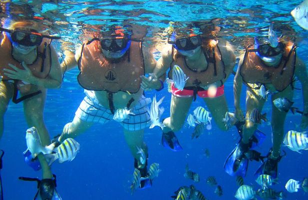 2 Hour Diving in Sunset Restaurant and Coral Gardens with Lunch