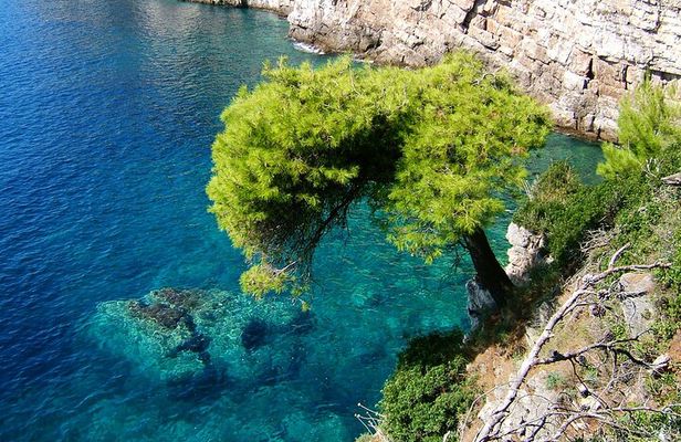 Dubrovnik Elaphiti All-Inclusive Cruise Lunch Drinks & Swim